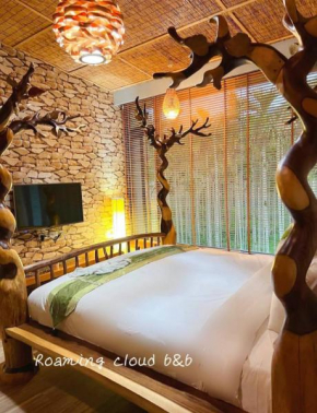 Roaming Cloud Sun Moon Lake B&B